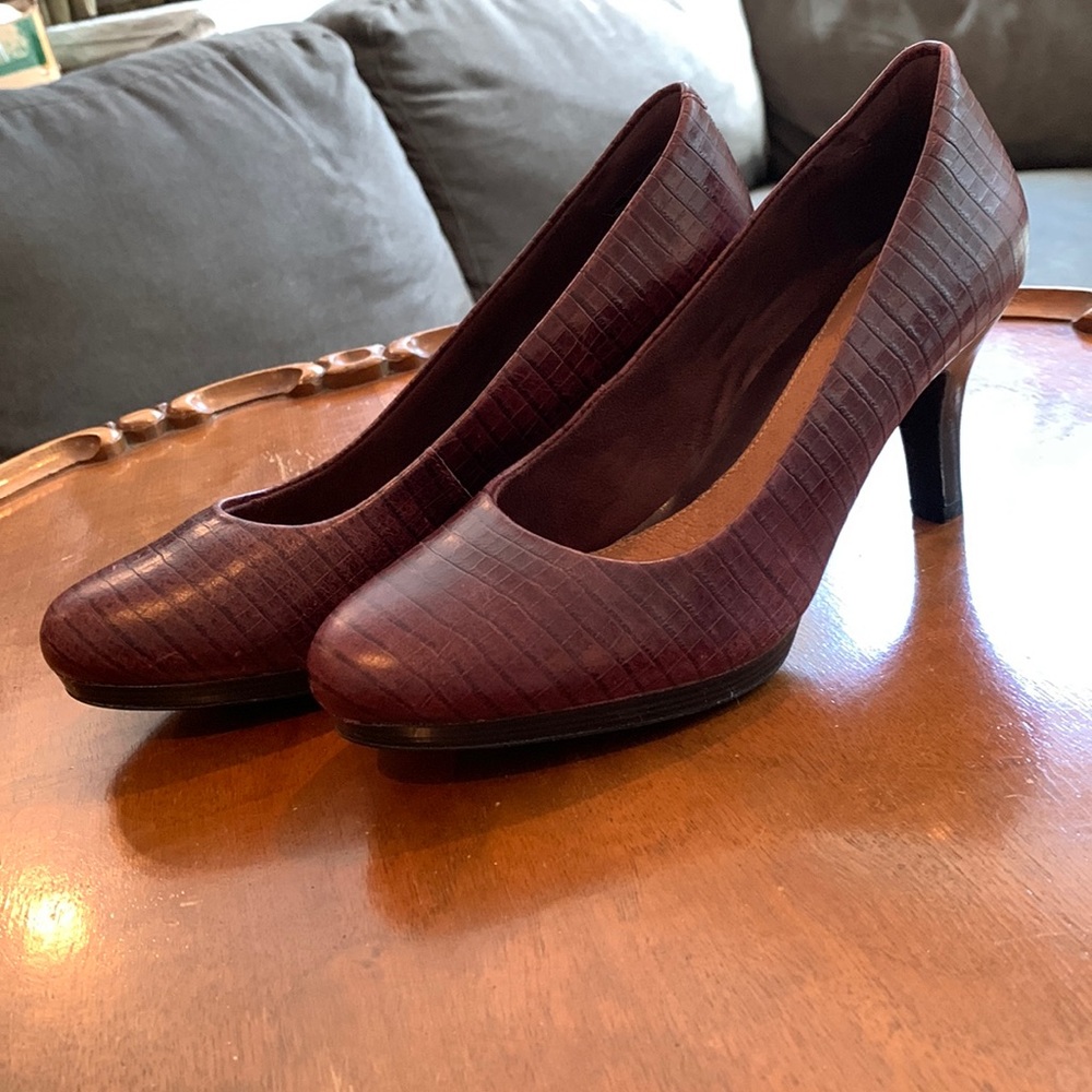 Pump - size 5.5